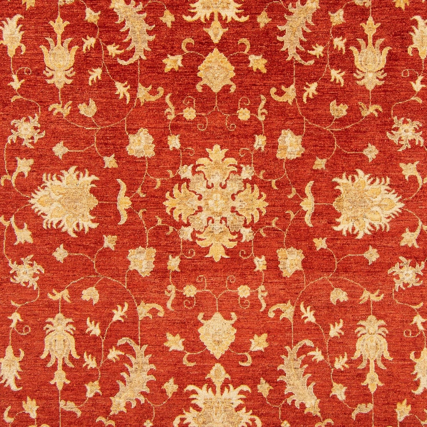 Ziegler Carpet - 346 x 243 cm - rød