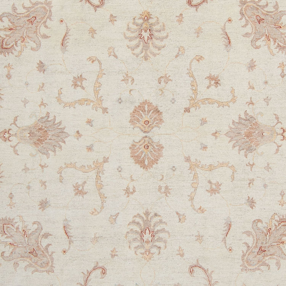 Ziegler Carpet - 358 x 248 cm - beige
