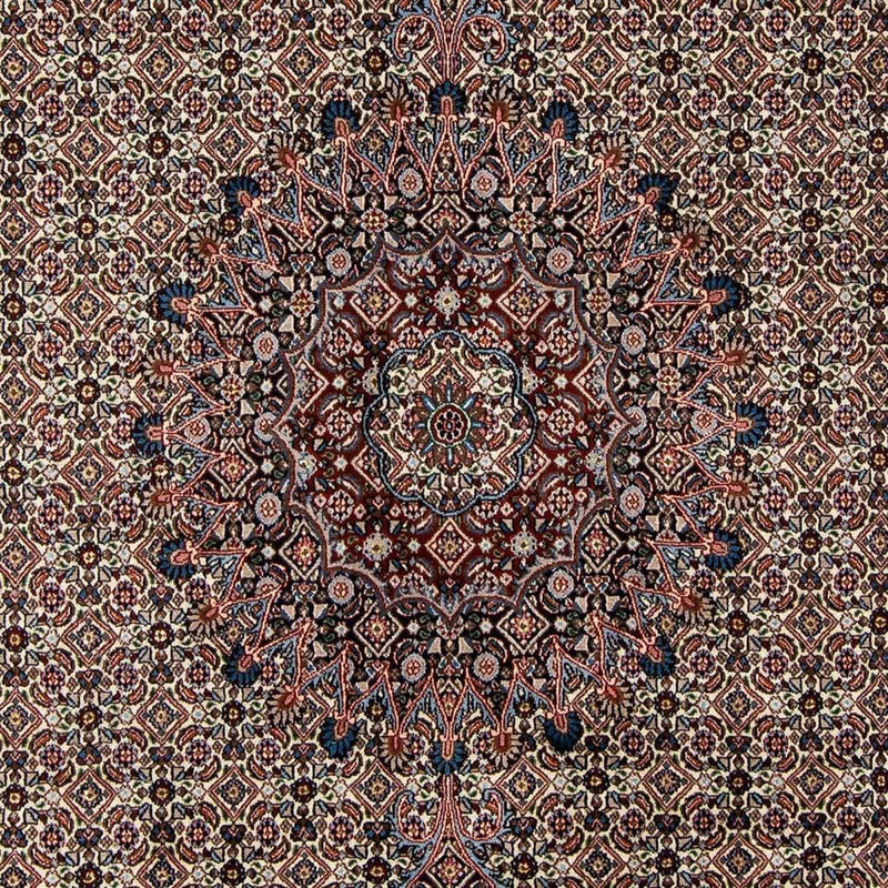 Persisk tæppe - Classic - 290 x 204 cm - beige