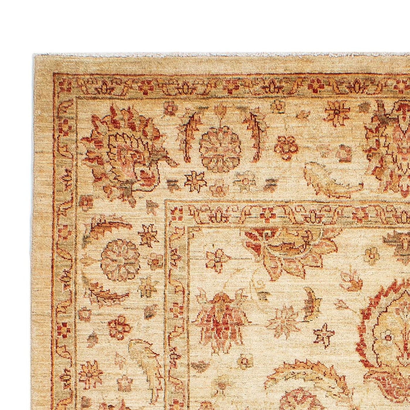 Ziegler Carpet 241x162cm - Orientalsk tæppe