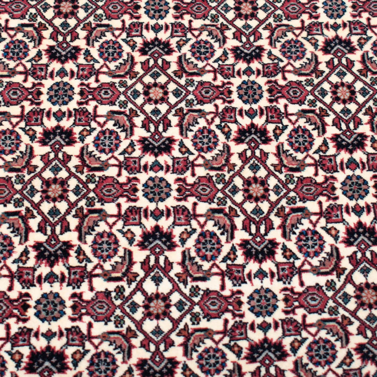 Persisk tæppe - Bijar - Royal firkantet  - 366 x 348 cm - beige