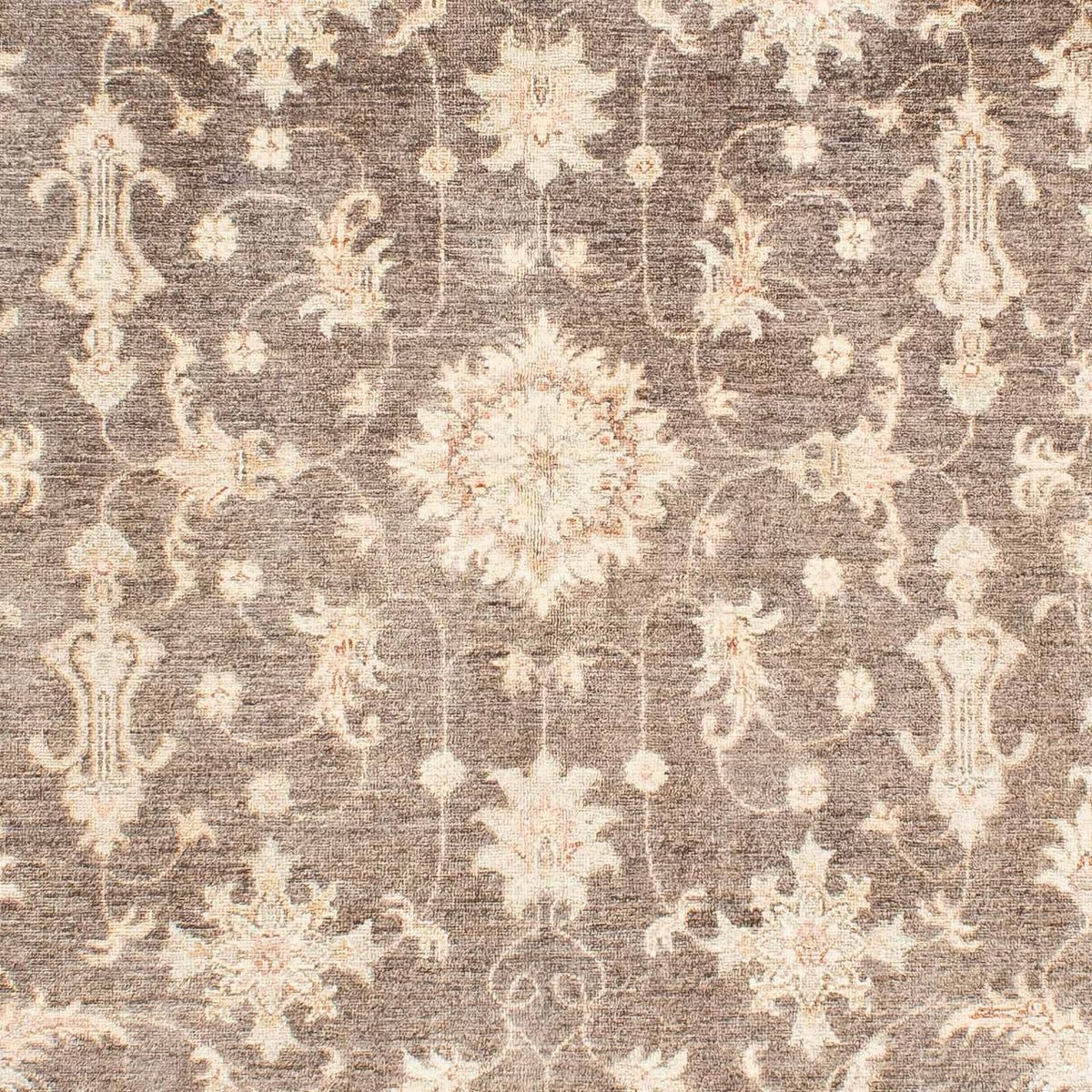 Ziegler Carpet - 236 x 166 cm - beige