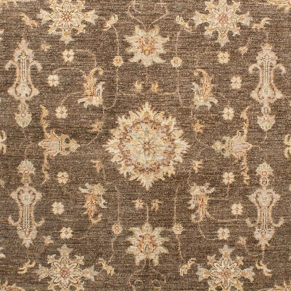 Ziegler Carpet - 241 x 170 cm - mørkebrun