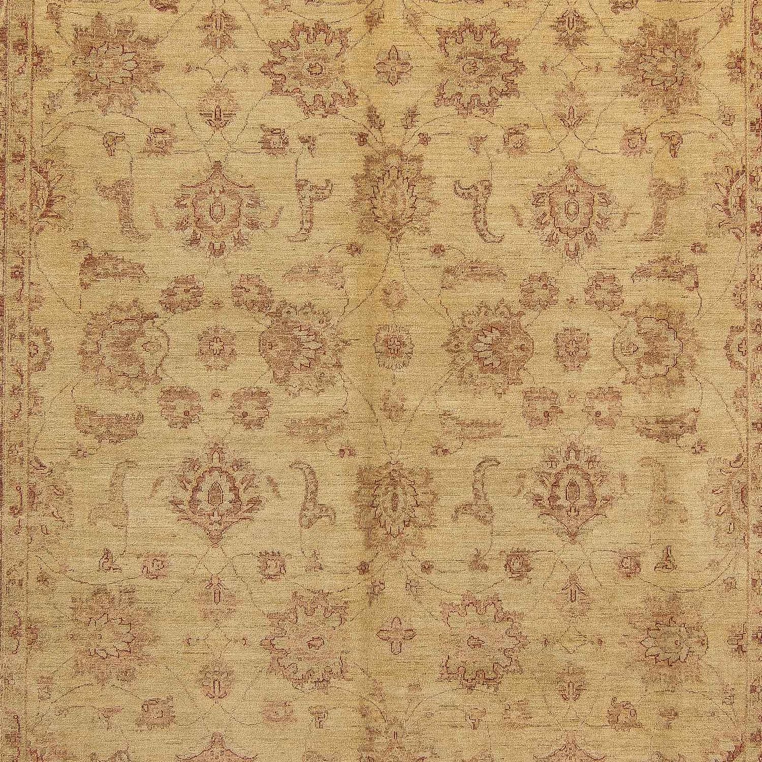 Ziegler Carpet - 414 x 310 cm - lys brun