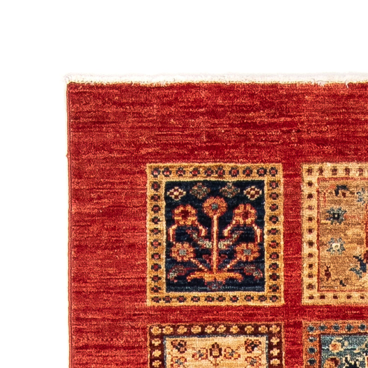 Løber Ziegler Carpet - 245 x 75 cm - rød