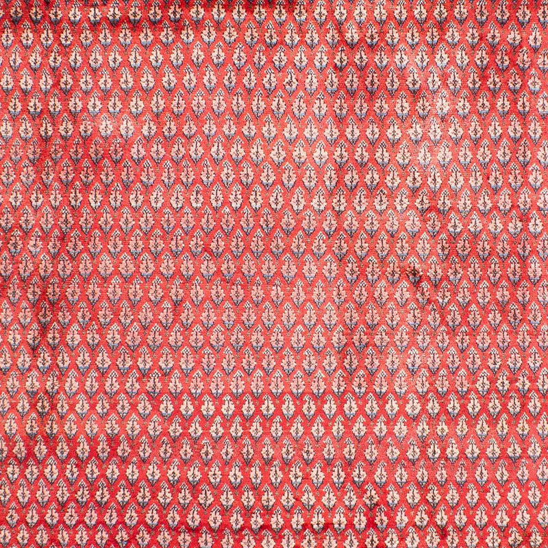 Persisk tæppe - Mir - 317 x 219 cm - rød