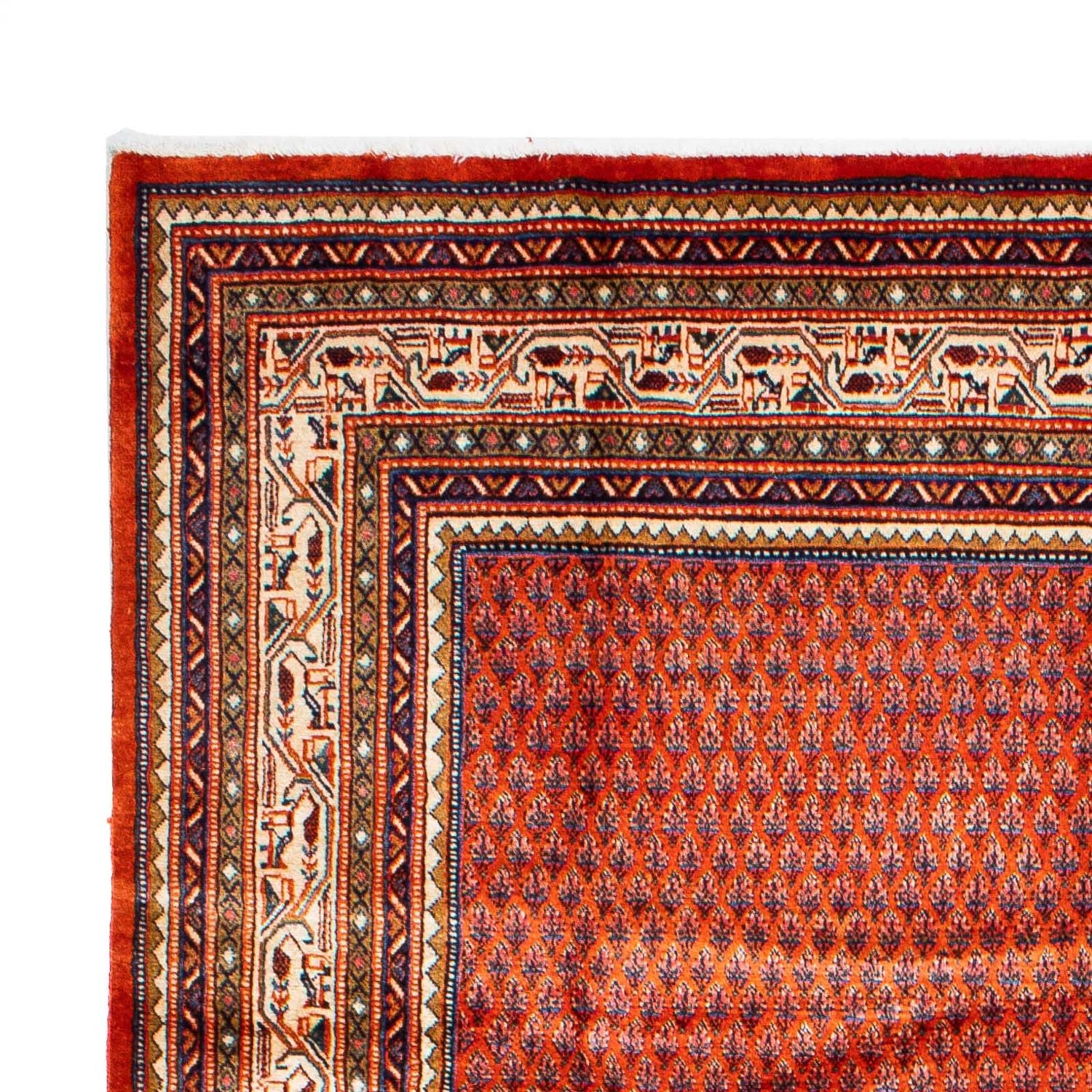 Persisk tæppe - Mir - 313 x 212 cm - rust