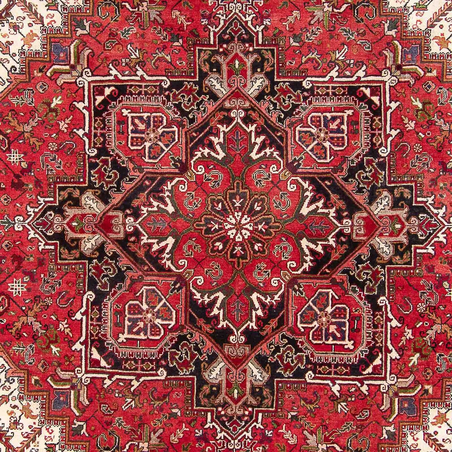 Persisk tæppe - Nomadisk - 328 x 260 cm - rød