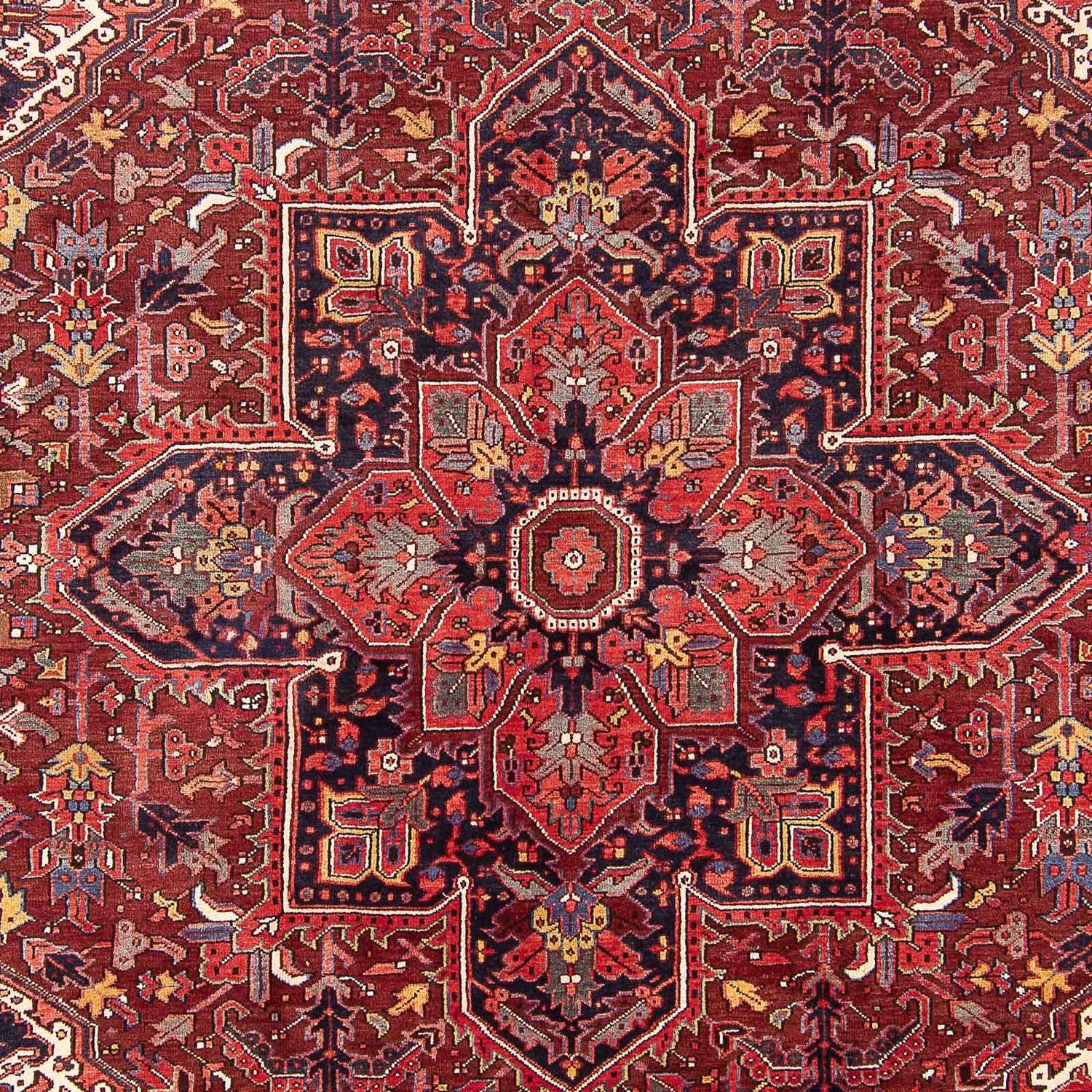 Persisk tæppe - Nomadisk - 337 x 245 cm - lysrød