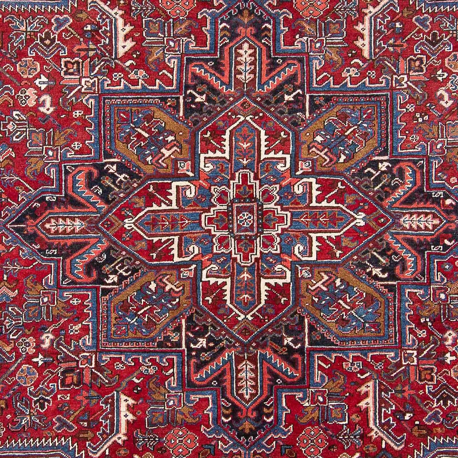 Persisk tæppe - Nomadisk - 313 x 250 cm - rød