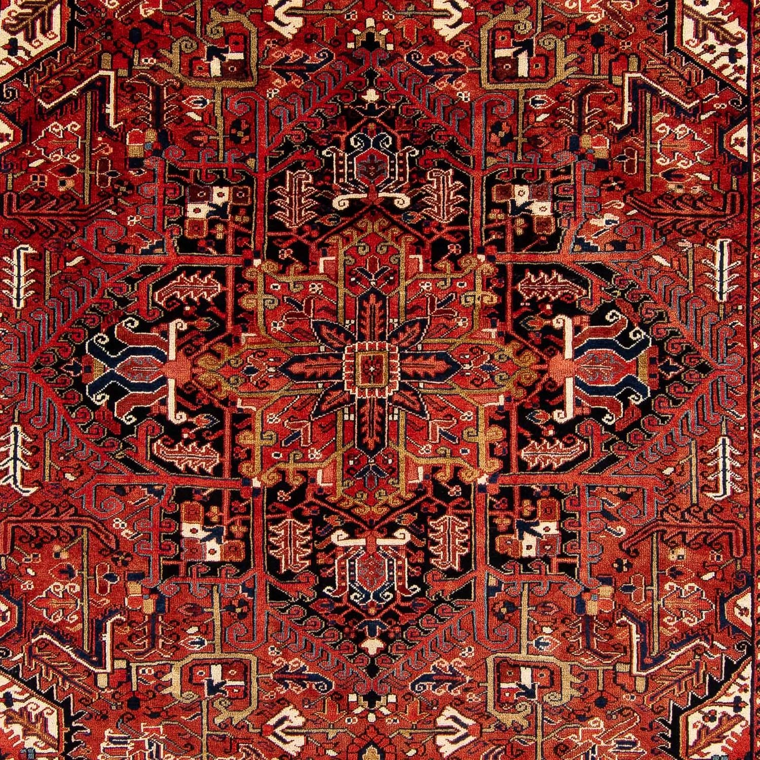 Persisk tæppe - Nomadisk - 380 x 260 cm - mørkerød