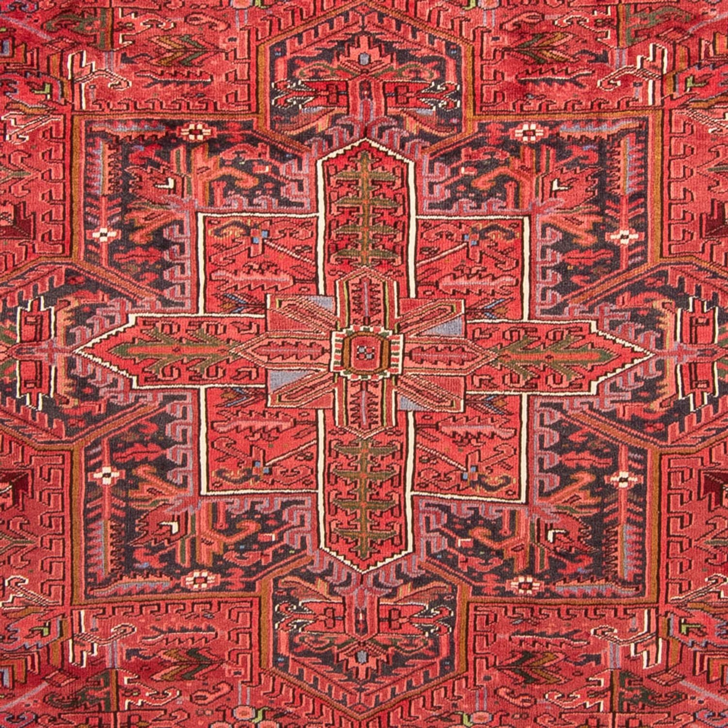 Persisk tæppe - Nomadisk - 345 x 250 cm - mørkerød