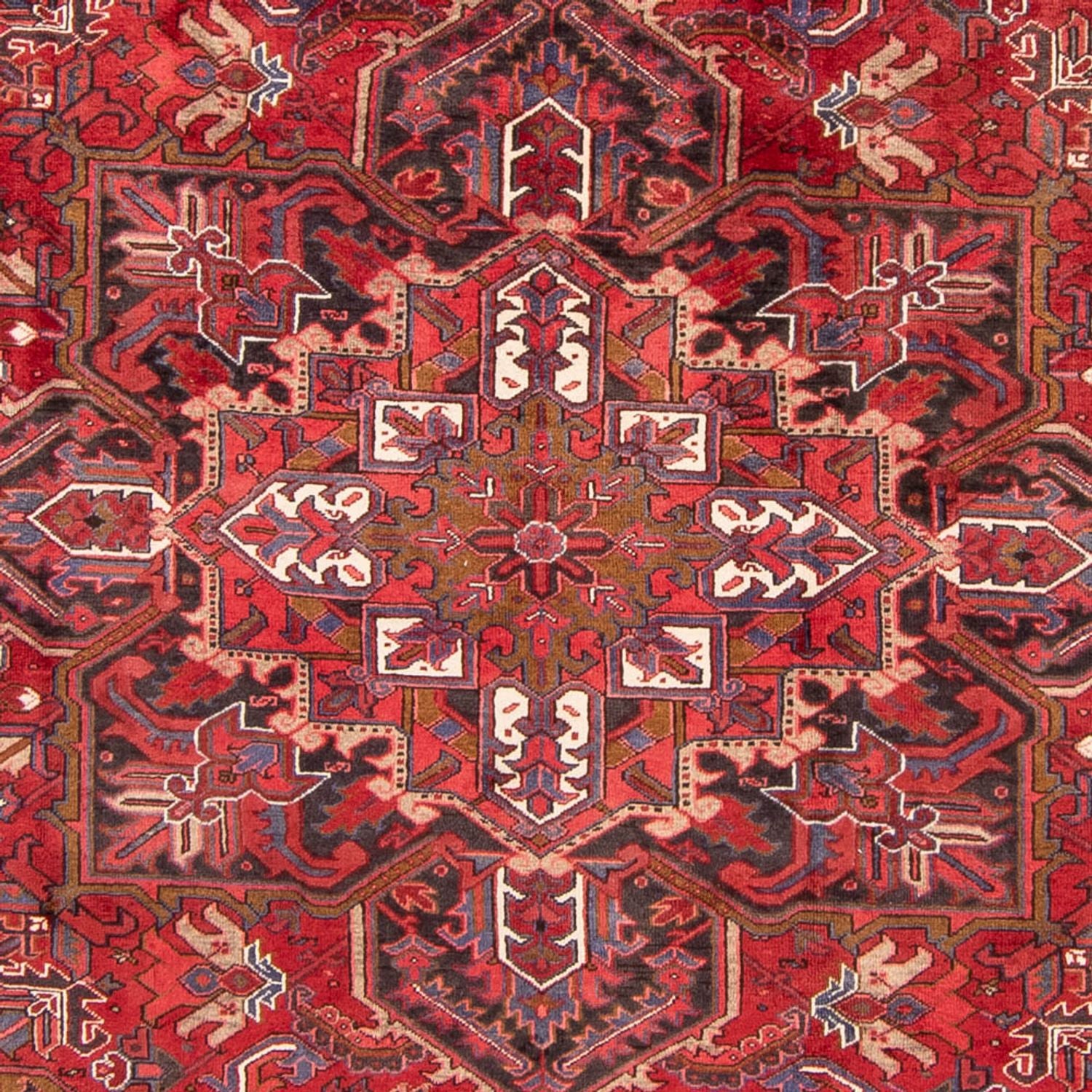 Persisk tæppe - Nomadisk - 326 x 247 cm - mørkerød