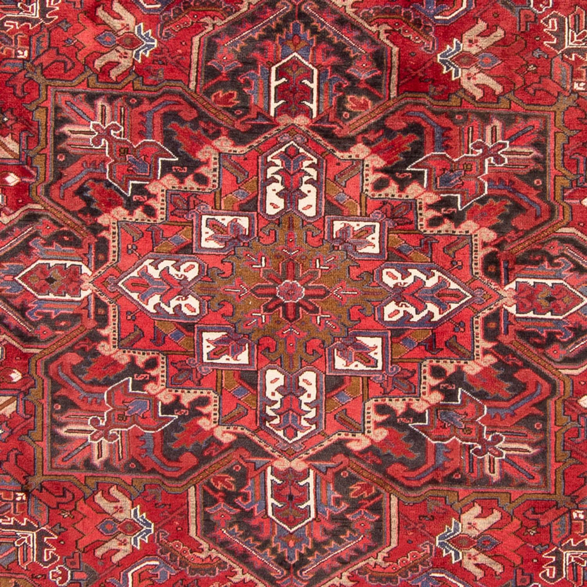 Persisk tæppe - Nomadisk - 326 x 247 cm - mørkerød