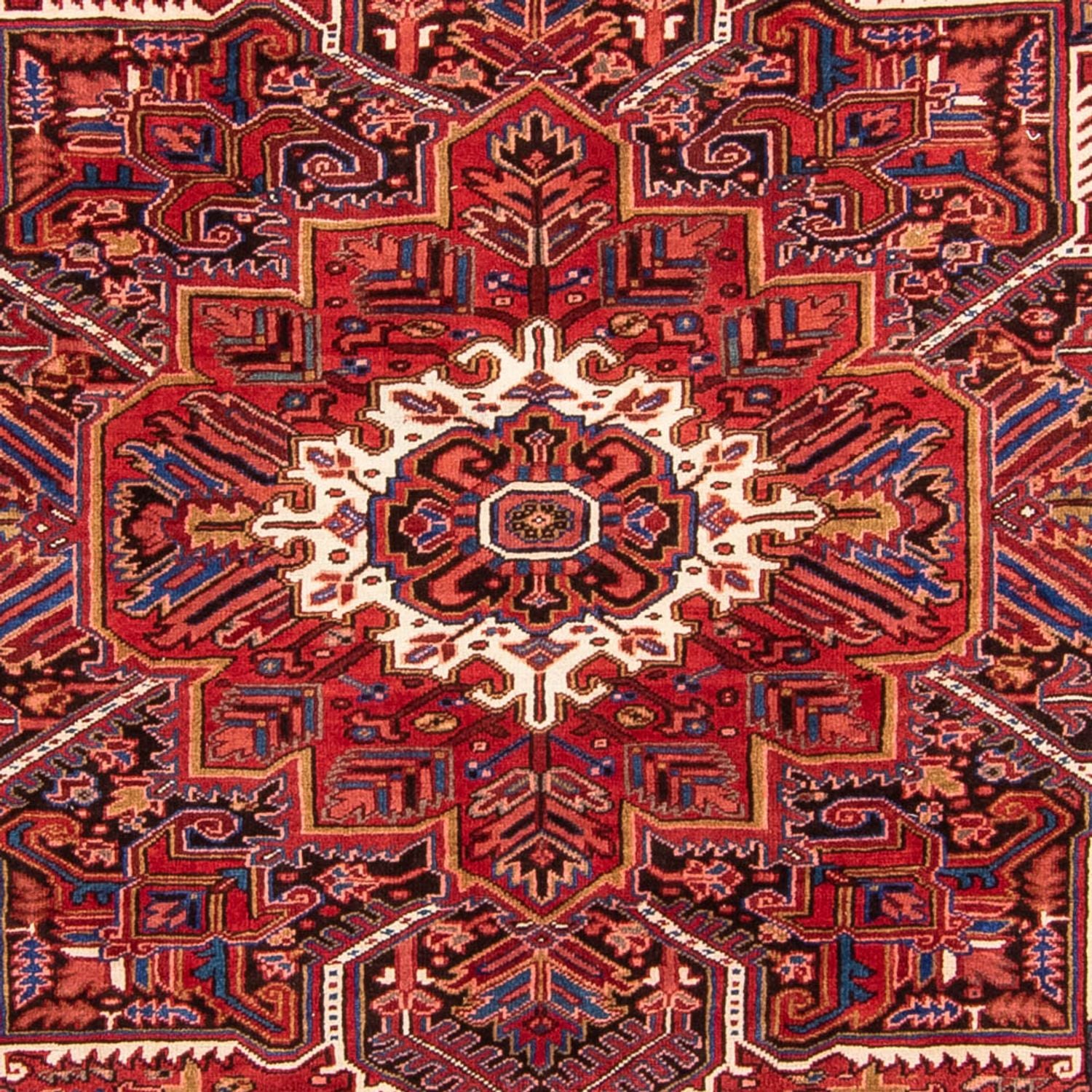 Persisk tæppe - Nomadisk - 330 x 250 cm - mørkerød