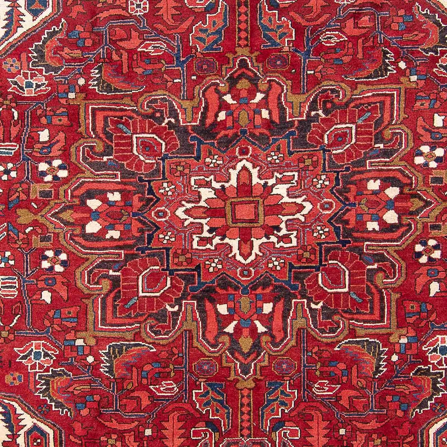 Persisk tæppe - Nomadisk - 323 x 252 cm - rød