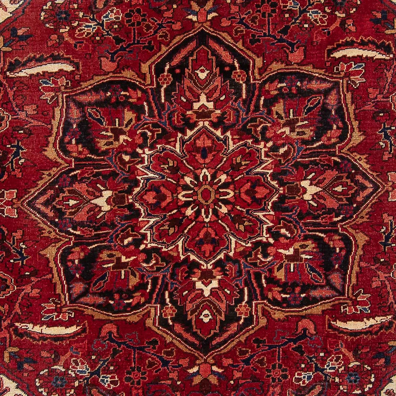 Persisk tæppe - Nomadisk - 347 x 244 cm - mørkerød