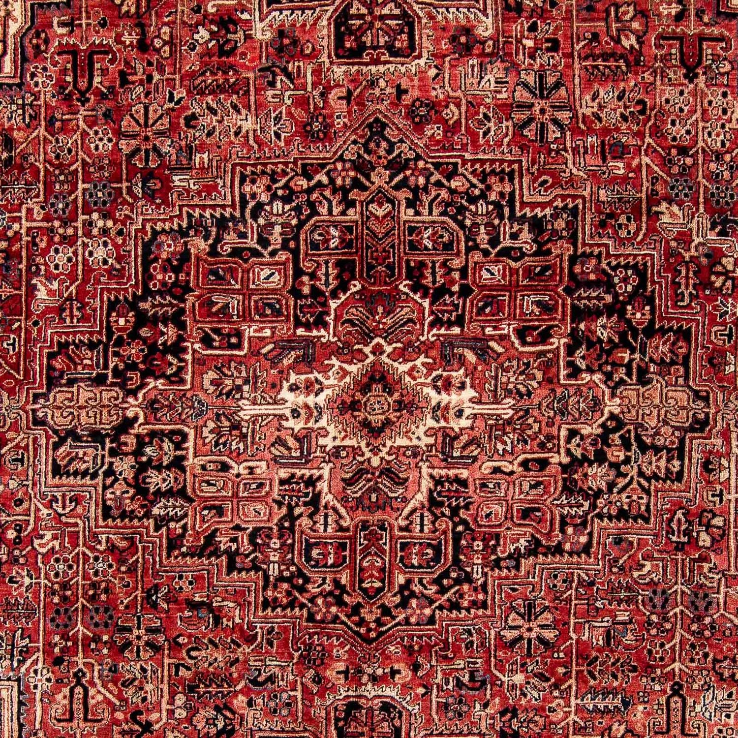 Persisk tæppe - Nomadisk - 388 x 298 cm - mørkerød